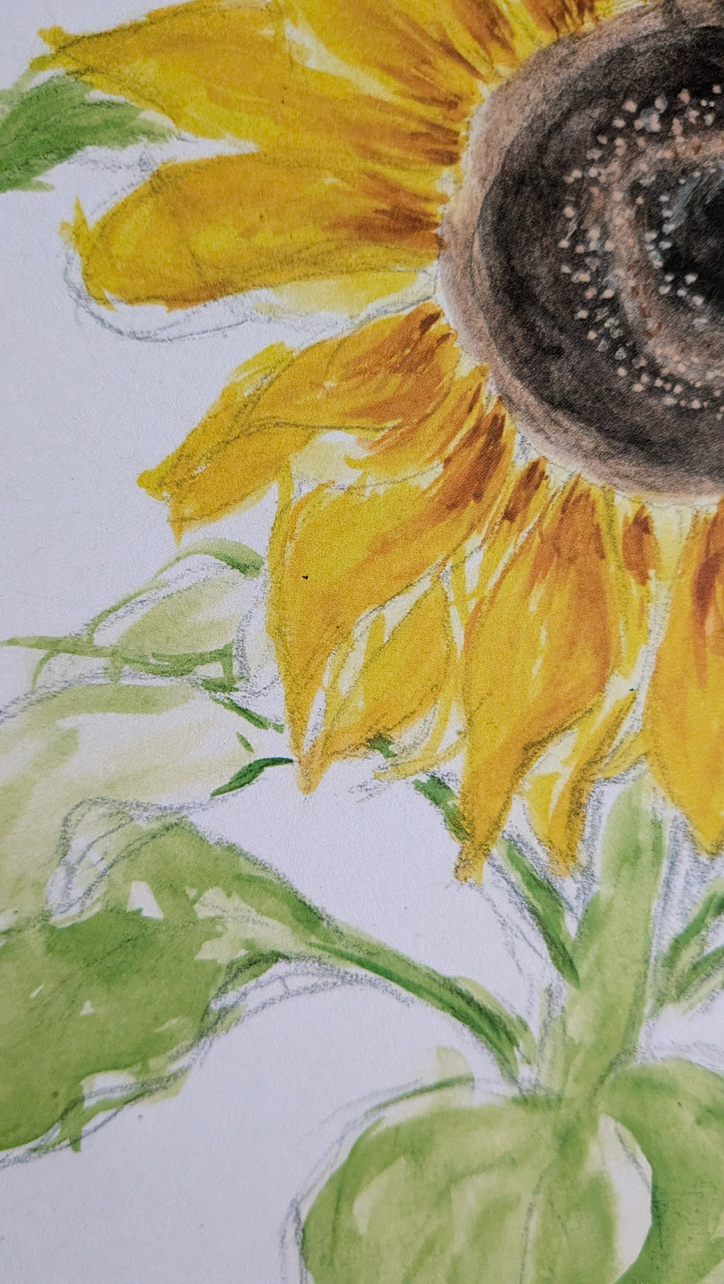 Watercolour Sunflower Painting Print - A5
